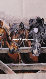 Three horses
