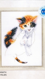 RTO M819 - Warmth in Palms - Cat XSD