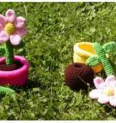 Magnolia Surpise - Growing Flowers Playset