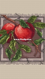 Paradise Stitch - Apples by Olga Lankevich