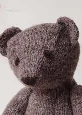 Owen Teddybear by Jane Watling