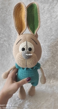 Bunny