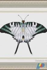 Graphium Antiphates Butterfly by Serafima Abramova / Серафима Абрамова