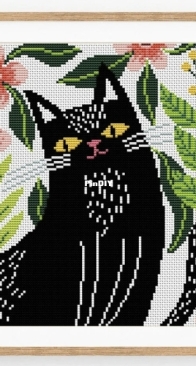 Box and Fox - Cat 51