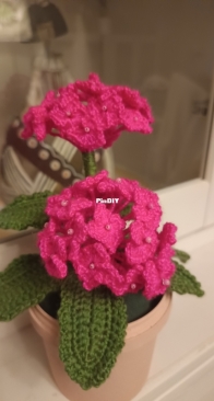 Hortensia pot