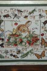 stoney creek insect sampler
