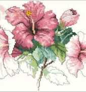 Green Apple 563 Hibiscus - Janet Powers XSD