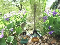 I Love Ferns by Natasha Hanson