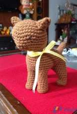 my little cat
