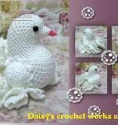 Gorgous pigeon