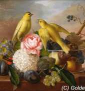 Golden Kite 1954 - Still Life
