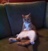 My girl watching tv
