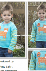 Cascade Yarns-W566-by Amy Bahrt-Cats Meow Pullover-Free.