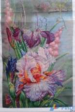Harmony Of Nature/RTO