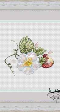 Berry by Irina Loseva