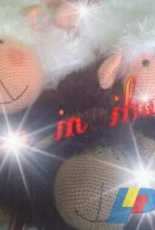 Lambs