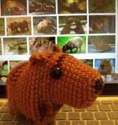 Jessie is Skoopy - Sara the Capybara