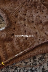 cardigan brown
