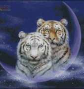 HAED HAEKAH 108 Milky Way by Kayomi Harai XSD