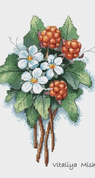 Berries-Flowers by Vitaliya Mishchuk