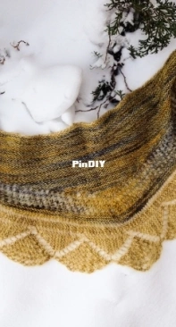 Delovely shawlette, updated - Clara Beauty - Free