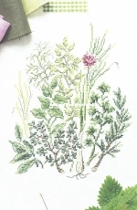 Herbes pas si mauvaises from Mango Mon Jardin Potager PCS