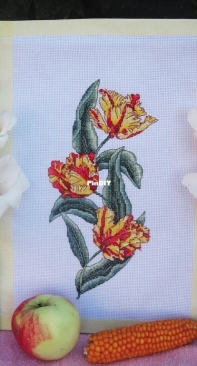 Tiger tulips.