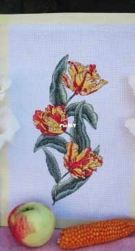 Tiger tulips.