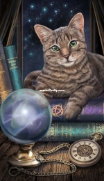 HAED HAE LIP2133 - The Fortune Teller by Lisa Parker PCS