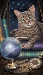 HAED HAE LIP2133 - The Fortune Teller by Lisa Parker PCS