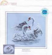 RTO M210 - Swan Fidelity XSD
