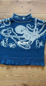 Octopus Yoked Sweater by Cathy Dobson
