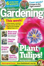 Amateur Gardening - 11 November 2017