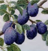 TG - September plums