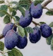 TG - September plums