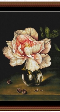 LKacross - Peony by Natalia Orehova