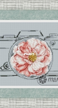 Mandarinks Design - A Camera Color by Nadezhda Grigorieva / Grigoryeva Надежда Григорьева