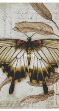 Chimera - Butterfly Vintage 3 by Jane Shasky PCS