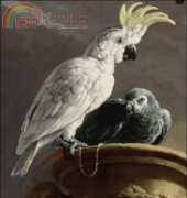 Golden Kite GK 1892 - De Menagerie (Small)