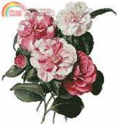 Artecy Cross Stitch - Camelias 4