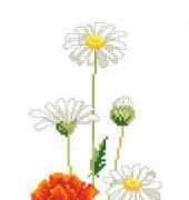 Eva Rosenstand 13-211 PCS
