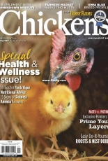 Chickens - July/August 2019