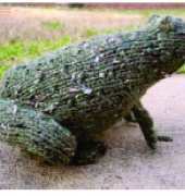 Tweed Toads - Desisner unknown - Knit Picks Free Pattern