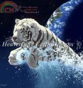 HAE -SS- Leap of Creation