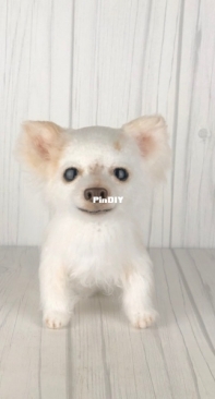 Ambercraftstore - Tatjana Ozolina - Chihuahua