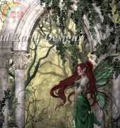 HAED HAENNT 121 Direwood by Nene Thomas