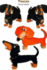 Sultana - Dachshund - Italian - Translated