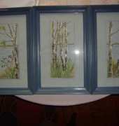 Birch Landscapes
