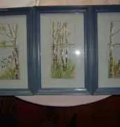 Birch Landscapes