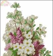 Luca-S B514 - Lilac and Jasmine XSD